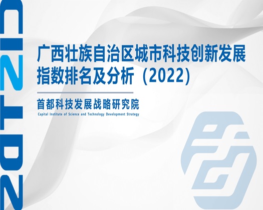 大鸡巴黑虎网站【成果发布】广西壮族自治区城市科技创新发展指数排名及分析（2022）